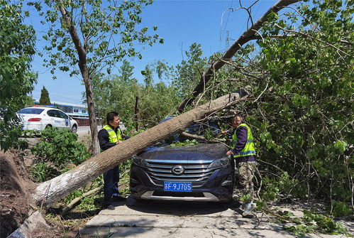 江蘇人保財(cái)險(xiǎn) 貫徹羅熹董事長(zhǎng)指示，全力推進(jìn)4.30大災(zāi)理賠與保險(xiǎn)經(jīng)紀(jì)業(yè)務(wù)協(xié)同發(fā)展